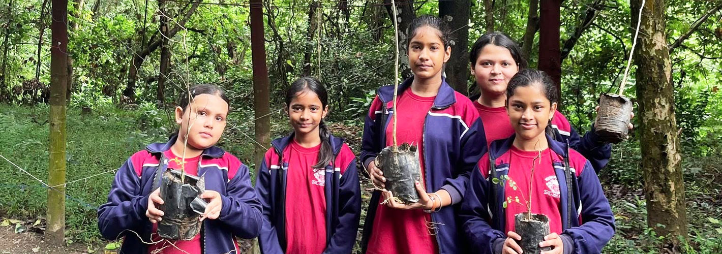 Planting Hope for a Greener Tomorrow